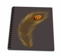 3dRose Elegant Image Of Gold Peacock Feather Illustration - Drawing Books (db_344863)