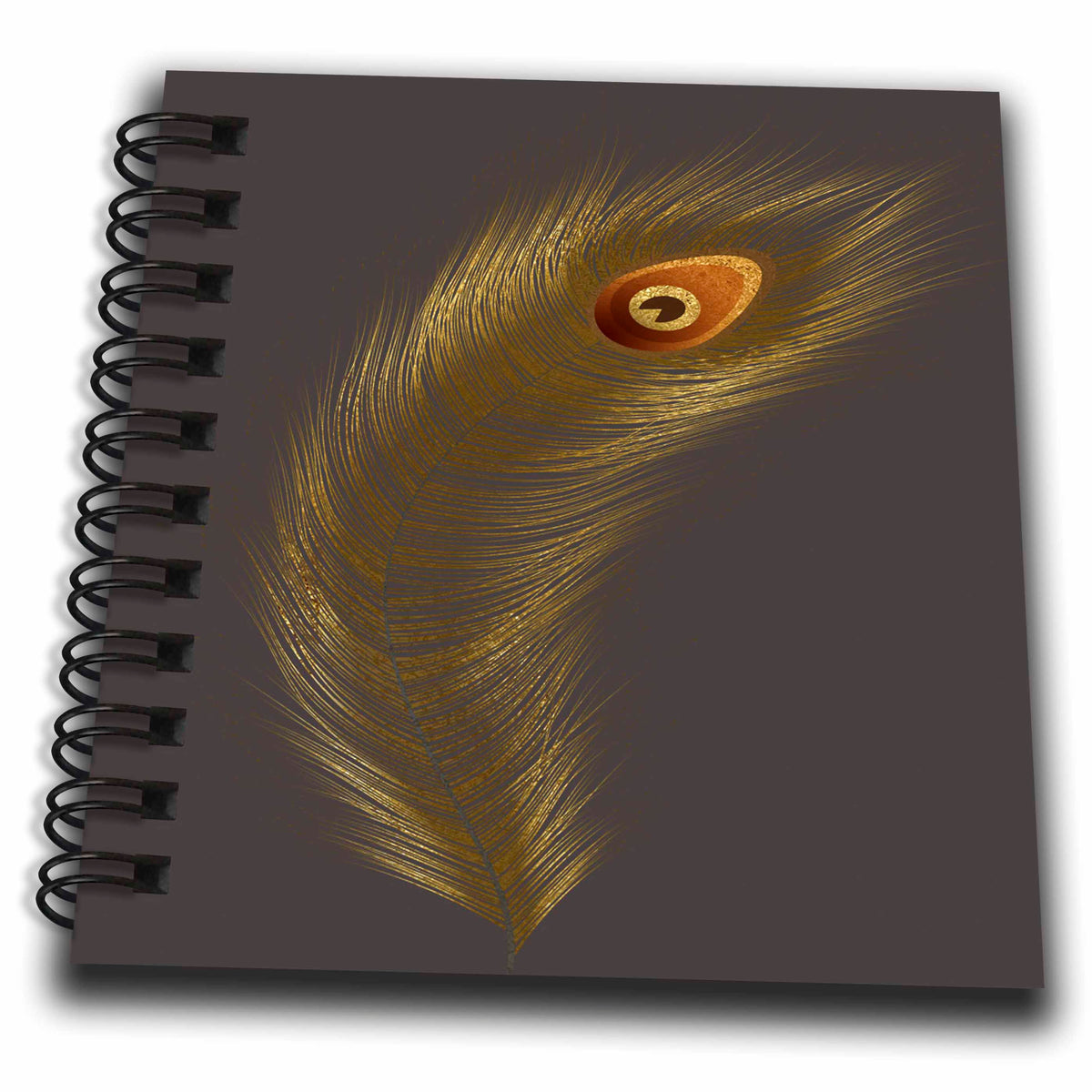 3dRose Elegant Image Of Gold Peacock Feather Illustration - Drawing Books (db_344863)
